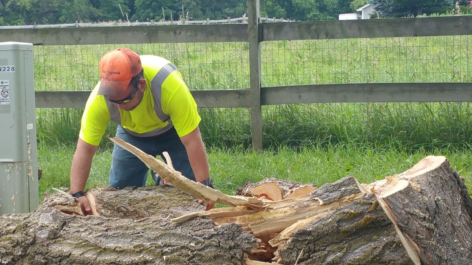 Highway Department worker clearing a fallen roadside tree