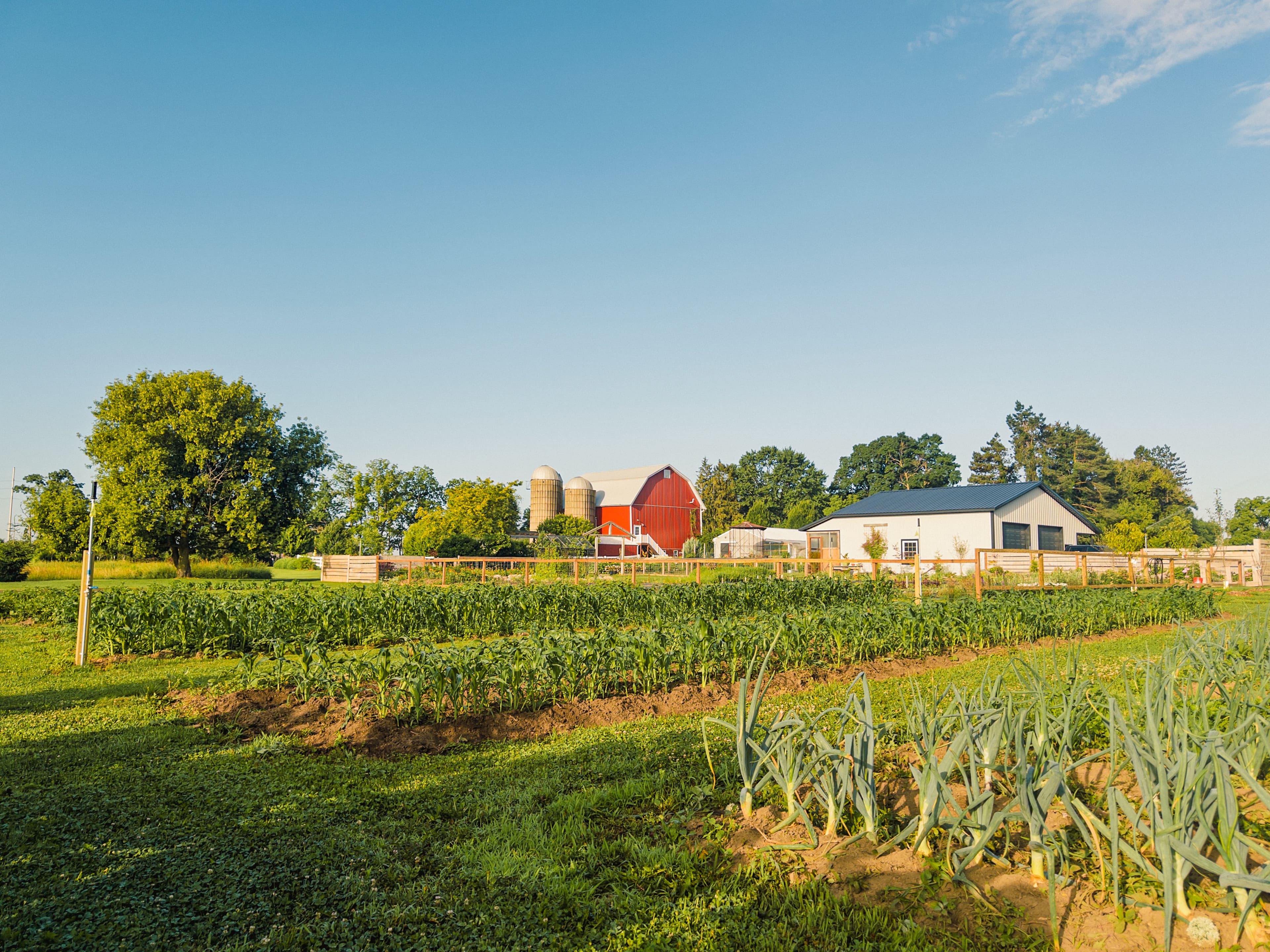 A country road crossing farmland near a red barn at sunrise